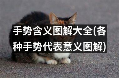 手势含义图解大全(各种手势代表意义图解)