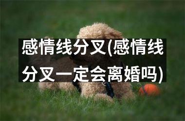 感情线分叉(感情线分叉一定会离婚吗)
