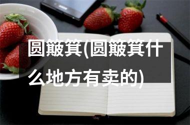圆簸箕(圆簸箕什么地方有卖的)