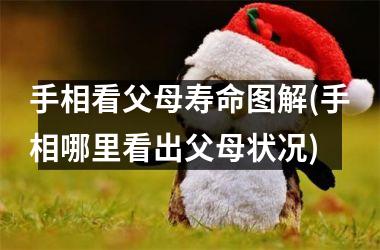 <h3>手相看父母寿命图解(手相哪里看出父母状况)