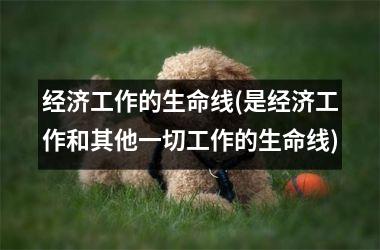 经济工作的生命线(是经济工作和其他一切工作的生命线)