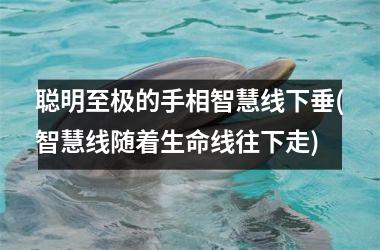 聪明至极的手相智慧线下垂(智慧线随着生命线往下走)