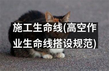 施工生命线(高空作业生命线搭设规范)