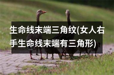 生命线末端三角纹(女人右手生命线末端有三角形)