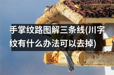 手掌纹路图解三条线(川字纹有什么办法可以去掉)