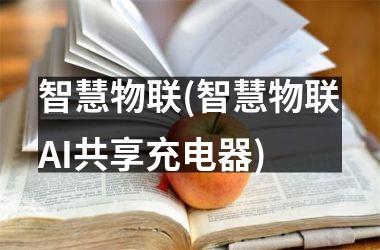 <h3>智慧物联(智慧物联AI共享充电器)