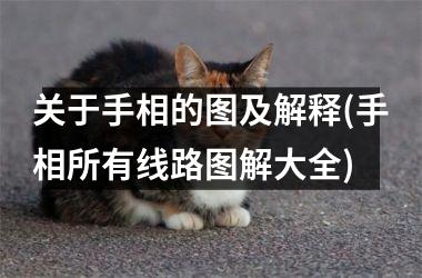 关于手相的图及解释(手相所有线路图解大全)