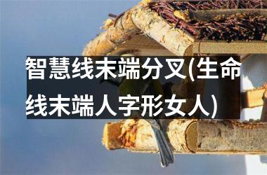 智慧线末端分叉(生命线末端人字形女人)