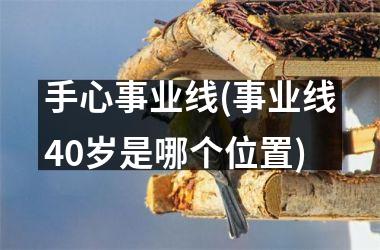 手心事业线(事业线40岁是哪个位置)