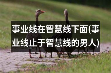 <h3>事业线在智慧线下面(事业线止于智慧线的男人)
