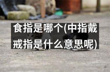 <h3>食指是哪个(中指戴戒指是什么意思呢)