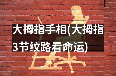 大拇指手相(大拇指3节纹路看命运)