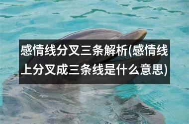 <h3>感情线分叉三条解析(感情线上分叉成三条线是什么意思)