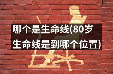 <h3>哪个是生命线(80岁生命线是到哪个位置)
