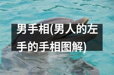 <h3>男手相(男人的左手的手相图解)