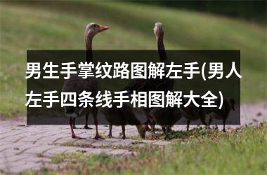 男生手掌纹路图解左手(男人左手四条线手相图解大全)