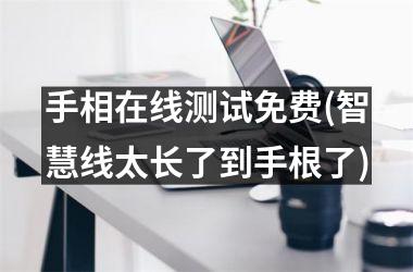 <h3>手相在线测试免费(智慧线太长了到手根了)