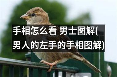 <h3>手相怎么看 男士图解(男人的左手的手相图解)