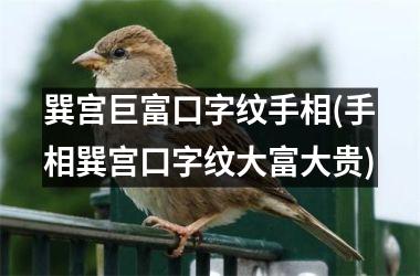 <h3>巽宫巨富口字纹手相(手相巽宫口字纹大富大贵)