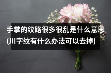 <h3>手掌的纹路很多很乱是什么意思(川字纹有什么办法可以去掉)