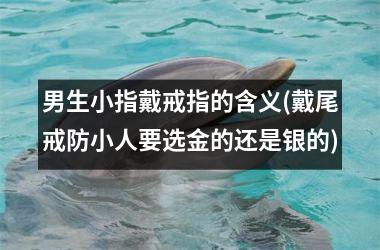 男生小指戴戒指的含义(戴尾戒防小人要选金的还是银的)