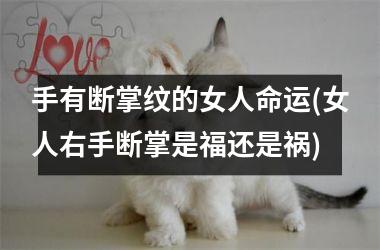 <h3>手有断掌纹的女人命运(女人右手断掌是福还是祸)