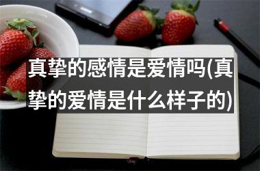 真挚的感情是爱情吗(真挚的爱情是什么样子的)