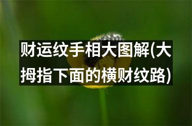 <h3>财运纹手相大图解(大拇指下面的横财纹路)