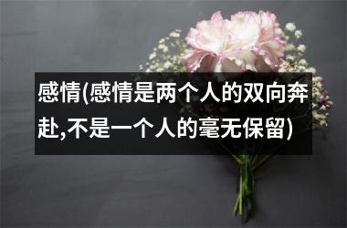 感情(感情是两个人的双向奔赴,不是一个人的毫无保留)