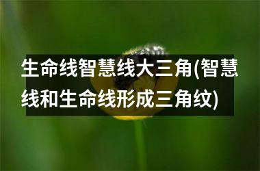生命线智慧线大三角(智慧线和生命线形成三角纹)