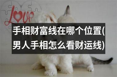 手相财富线在哪个位置(男人手相怎么看财运线)