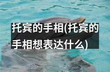 <h3>托宾的手相(托宾的手相想表达什么)
