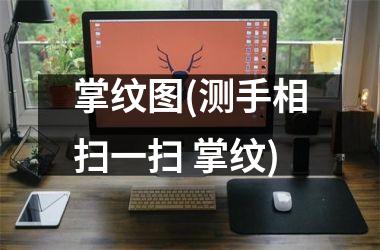 掌纹图(测手相扫一扫 掌纹)