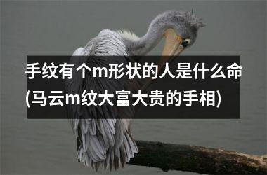 手纹有个m形状的人是什么命(马云m纹大富大贵的手相)