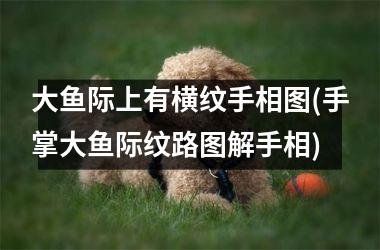 <h3>大鱼际上有横纹手相图(手掌大鱼际纹路图解手相)