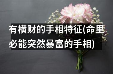 有横财的手相特征(命里必能突然暴富的手相)