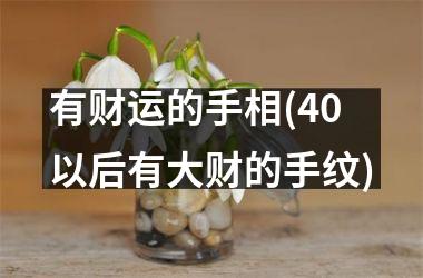 <h3>有财运的手相(40以后有大财的手纹)