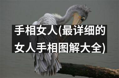 <h3>手相女人(最详细的女人手相图解大全)