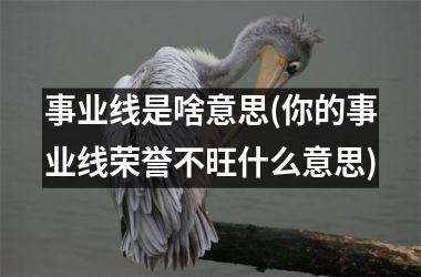 事业线是啥意思(你的事业线荣誉不旺什么意思)