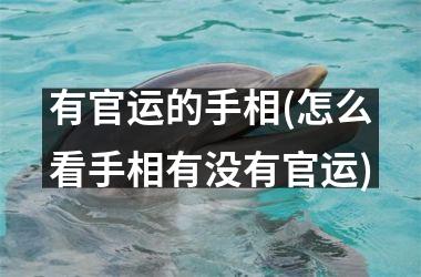 <h3>有官运的手相(怎么看手相有没有官运)