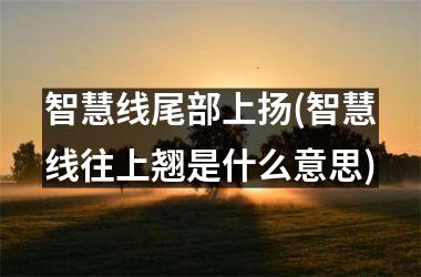 智慧线尾部上扬(智慧线往上翘是什么意思)