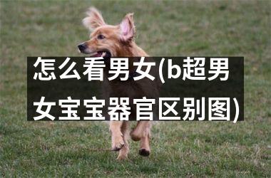 怎么看男女(b超男女宝宝器官区别图)