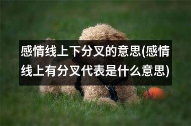 感情线上下分叉的意思(感情线上有分叉代表是什么意思)