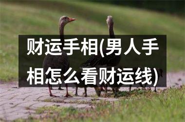 财运手相(男人手相怎么看财运线)