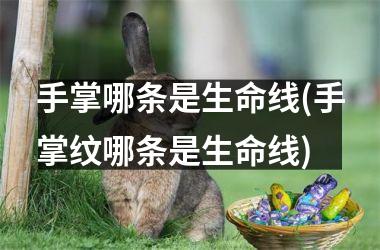 手掌哪条是生命线(手掌纹哪条是生命线)
