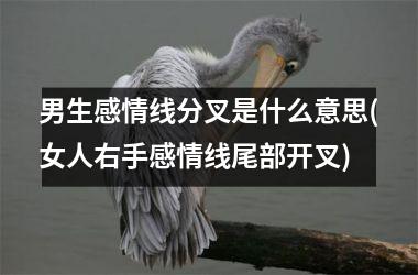 <h3>男生感情线分叉是什么意思(女人右手感情线尾部开叉)
