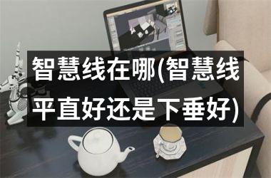 智慧线在哪(智慧线平直好还是下垂好)