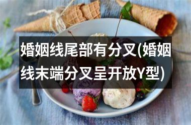 婚姻线尾部有分叉(婚姻线末端分叉呈开放Y型)