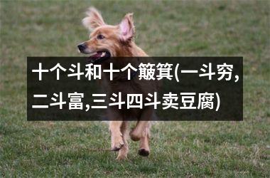 <h3>十个斗和十个簸箕(一斗穷,二斗富,三斗四斗卖豆腐)
