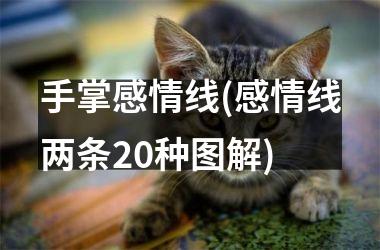 手掌感情线(感情线两条20种图解)